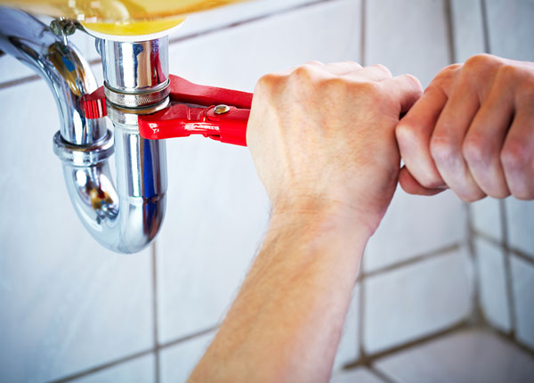 About Bloomville Plumbers
